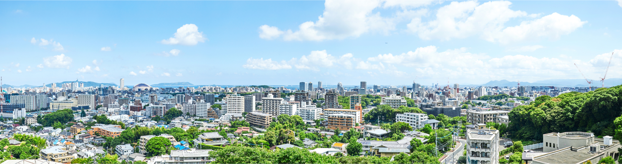 事業案内